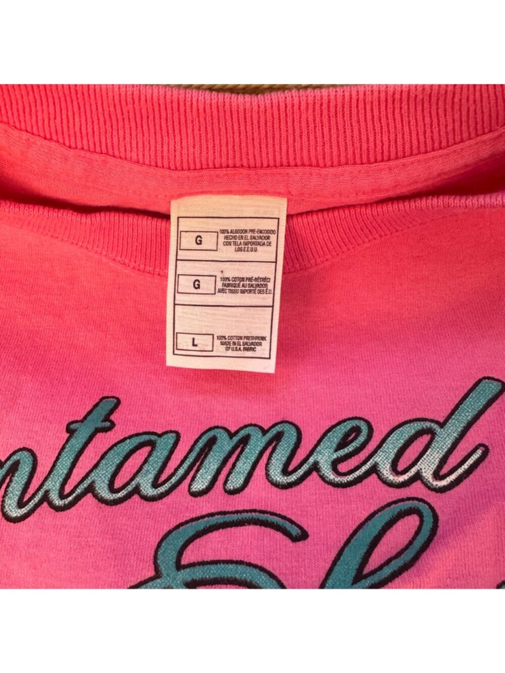 Vintage 2000 Untamed Spirit Daytona Beach Bike Week Pink Graphic T-Shirt Size L - Picture 2 of 11